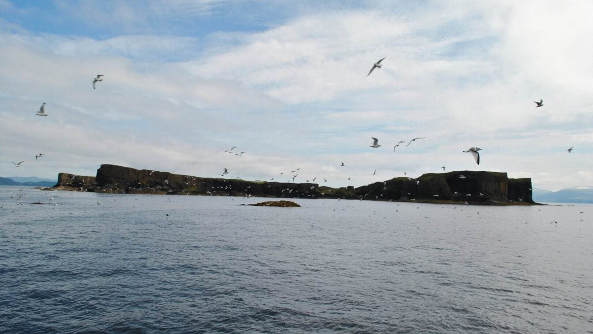 treshnish isles scozia