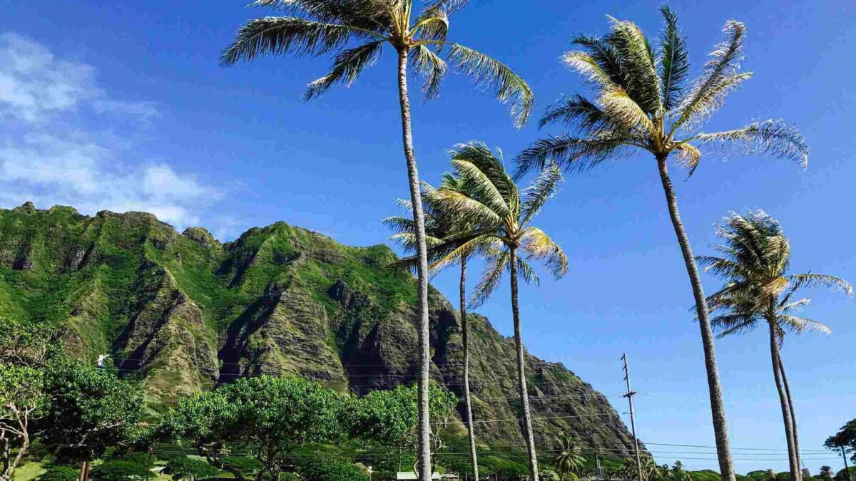 organizzare viaggio alle Hawaii